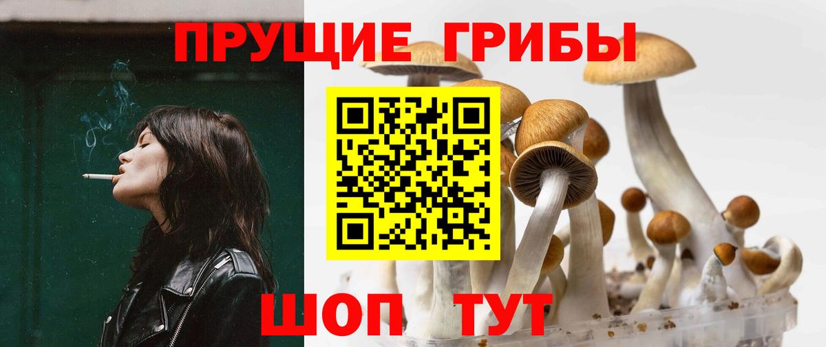 Галлюциногенные грибы GOLDEN TEACHER  Вход с VPN  Армавир 